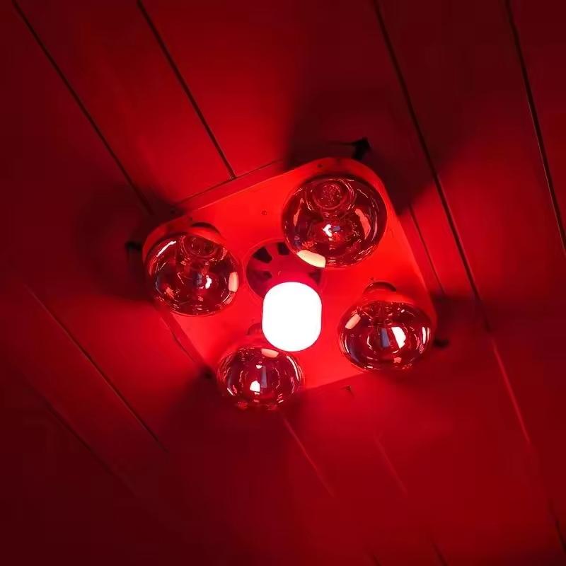 Outdoor Lighting Xmas - New High Power Red LED Light